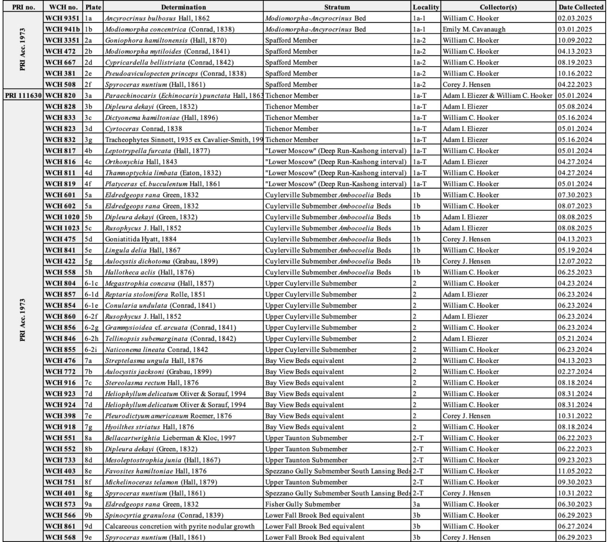 Table of text