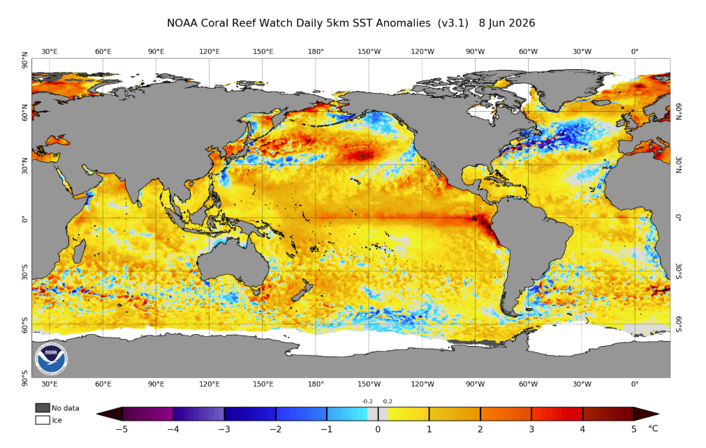 World map showing hotter and cooler regions of the oceans.