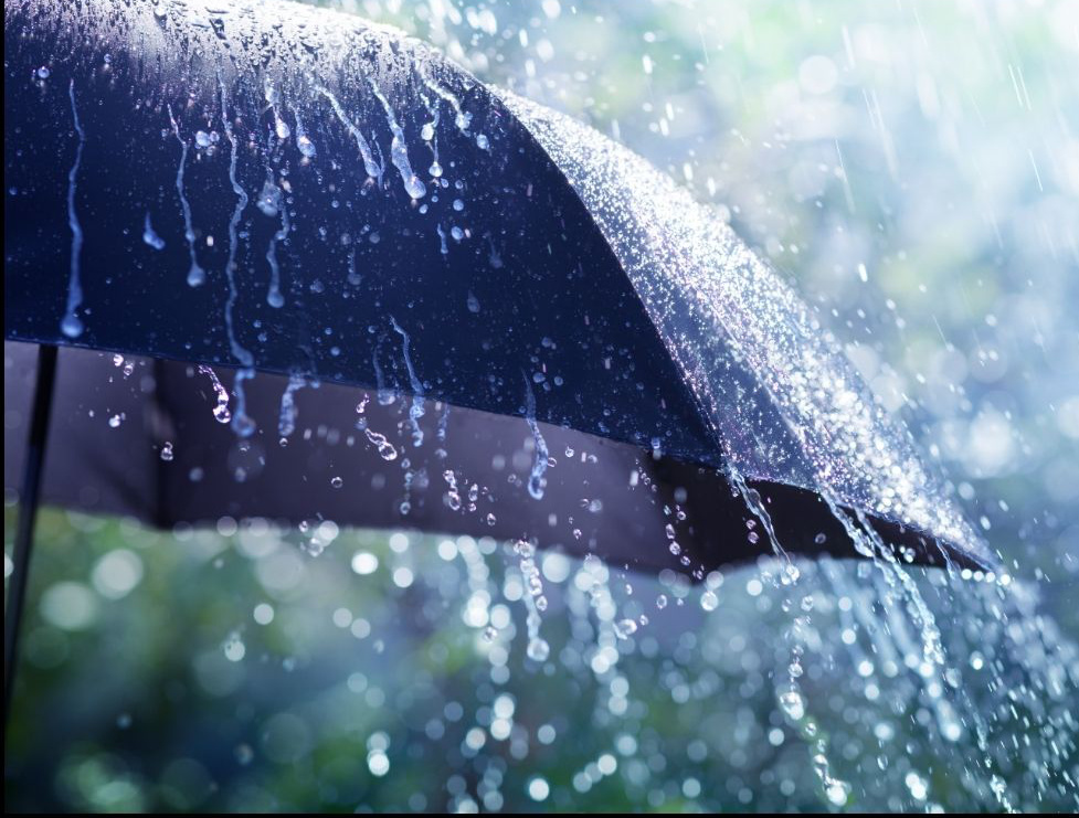 Picture of rain falling on an umbrella